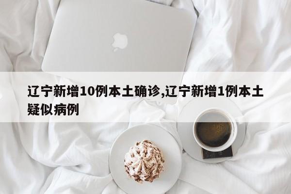 辽宁新增10例本土确诊,辽宁新增1例本土疑似病例