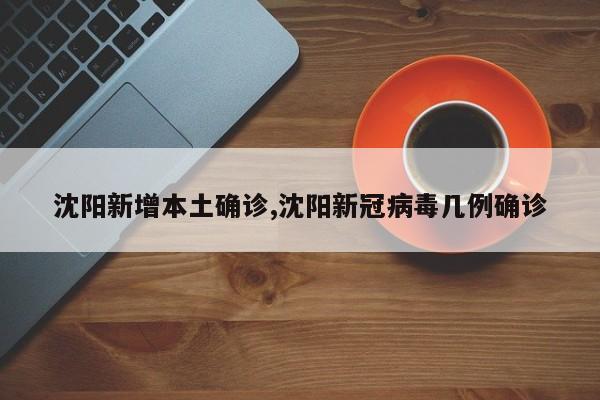 沈阳新增本土确诊,沈阳新冠病毒几例确诊